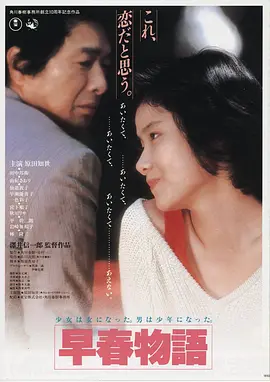 久久久精品免费视频西部片关山飞渡海报